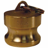 Global Type DP Dust Plugs, Brass 238-G100-DP-BR