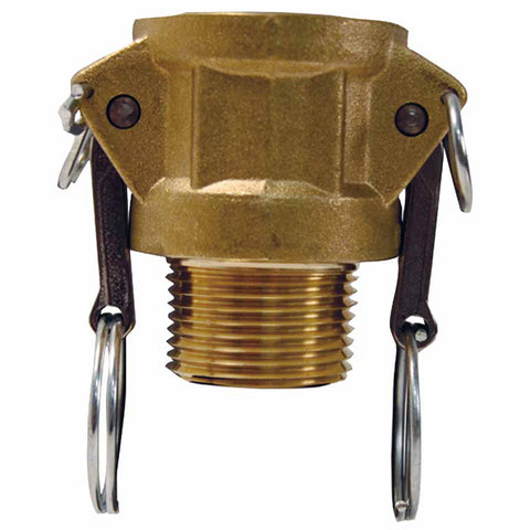 Global Type B Couplers, 1 1/2 in (NPT), Brass 238-G150-B-BR