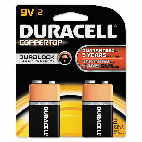 CopperTop Alkaline Battery, 9V, 2/PK 243-MN1604B2Z